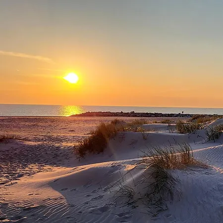 Apartamentowe Rozgwiazdy 20